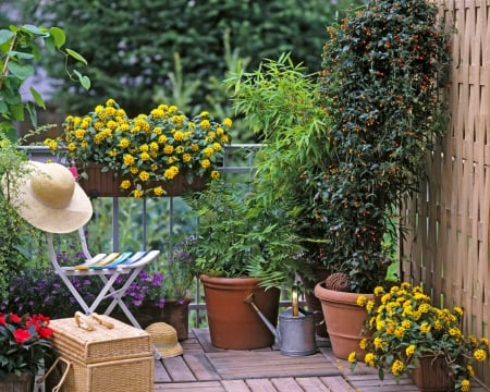 Garden - hat, pot, flowers, garden, plants