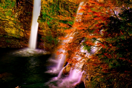 AUTUMN FOREST FALLS - nature, waterfalls, autumn, forest