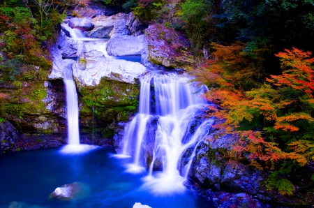 AUTUMN PARADISE - nature, autumn, waterfalls, pool, foreset