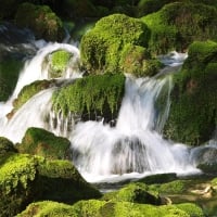 Waterfall over Stones and Moss