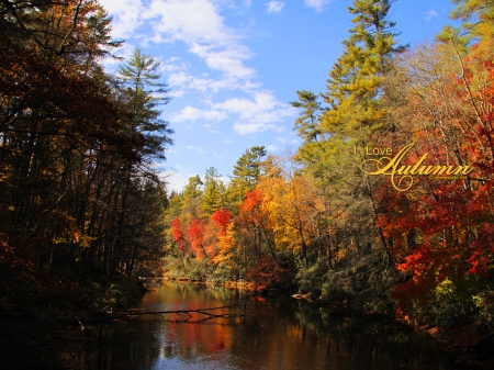 I Love Autumn - nature, autumn, trees, river, fall season