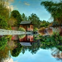 Pond Reflection