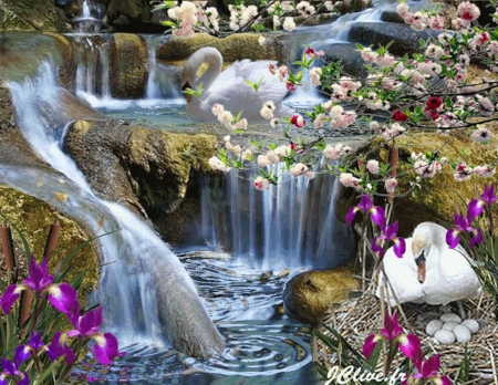 Beautiful Waterfall - eggs, flowers, nature, waterfall, swan, art