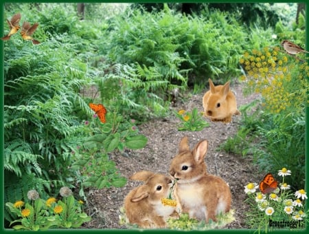 IN THE FORREST - creation, bunnies, birds, butterflies