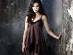 Danielle Campbell as Davina