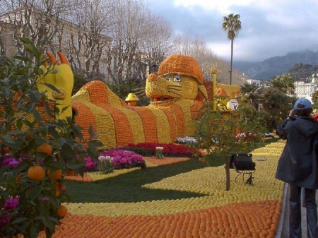 ORANGE FESTIVAL NETHERLANDS - orange, netherlands, photo, festival