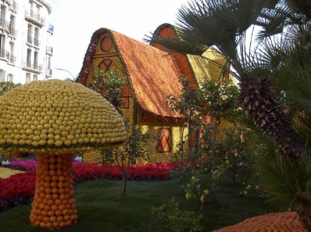 ORANGE FESTIVAL NETHERLANDS - orange, netherlands, photo, festival