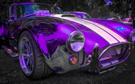 In purple - shelby, purple, 427, pink, car, cobra