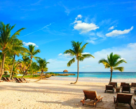 Beach - beach, sky, trees, nature