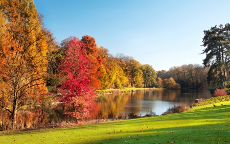 Park Lake in Autumn - fall leaves, nature, autumn, lake, park