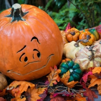 Autumn Pumpkins