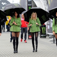 Monster Energy Umbrella Girls