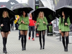 Monster Energy Umbrella Girls