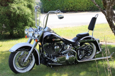 Harley Davidson Deluxe - bike, motorcycle, cruiser, harley