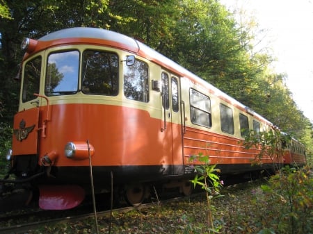 Train - train, trees, railroad, autumn, green, old, color, sky