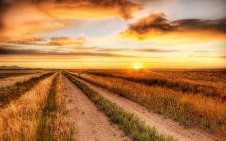 alone road - field, road, sunset, grass