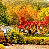 AUTUMN COLORS SURROUNDING the HOUSE