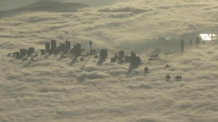 FOG OVER SYDNEY- AUSTRALIA - fog, nature, australia, sydney