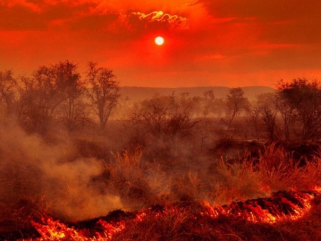 MOTHER NATURE AT WORK- AUSTRALIA - nature, mother, work, australia, at