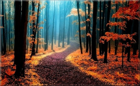 Autumn Forest - fall, path, leaves, trees, mist, colors