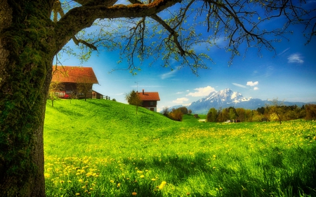 Springtime in the Mountains - nature, fields, houses, hills, mountains