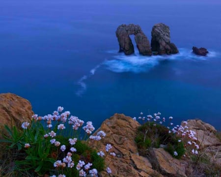 High Place - flowers, nature, rocks, water