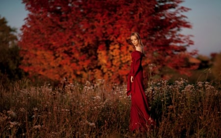 Red Field - field, red, tree, woman