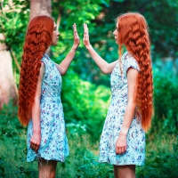 Twin
