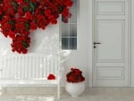 White Wall and Bench