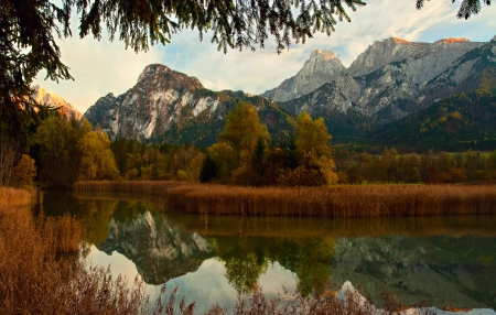 Amazing Nature - mountains, amazing, trees, river