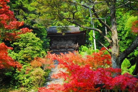 Autumn park - fall, branches, nature, beautiful, autumn, tree, park, japanese