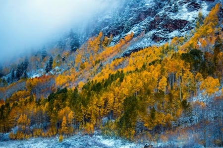 Misty Autumn at Maroon Bells, Colorado - fall, trees, leaves, colors, usa, mist