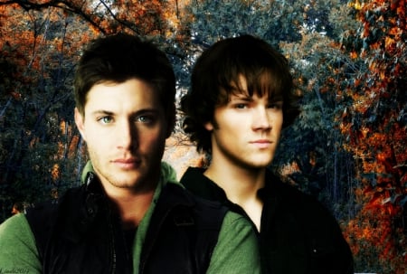 Dean & Sam Winchester - dean, hunters, sam, supernatural