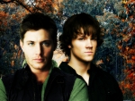 Dean & Sam Winchester