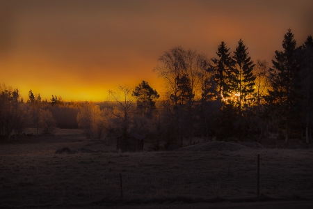 Sunrise in Toftbyn - landscape, field, Sunrise, sky