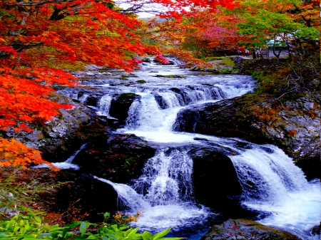 AUTUMN FALLS - rocky, forest, autumn, falls