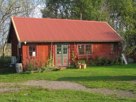 Cottage - cottage, windows, trees, red, door, countryside, grass