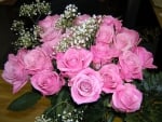 Pink Roses