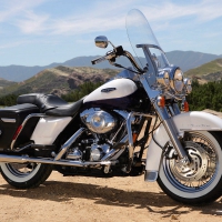 Harley Davidson motorcycles