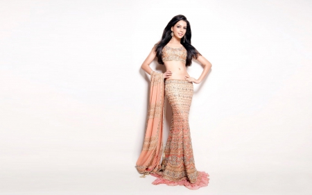 Arushi Virani - style, beauty, actress, sari