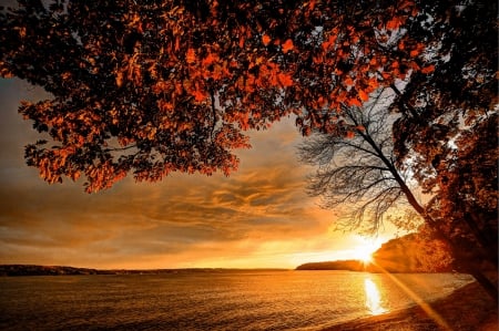 Sunset On The River - autumn, trees, golden hour, hills, sunset, coast, nature, maple trees, reflection, beautiful, river, clouds