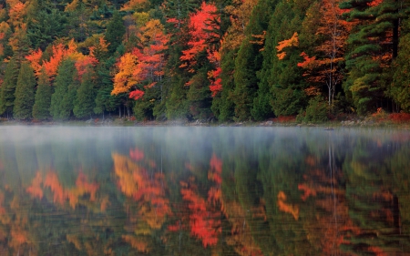 Fog over Autumn Forest Reflection - reflections, nature, rivers, forests