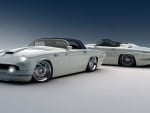 ford thunderbird custom