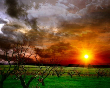 Beautiful Sunset - nature, sky, field, sunset