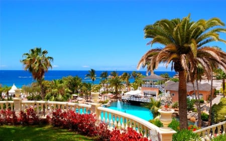 Beach Resort - beach, pool, resort, palm tree