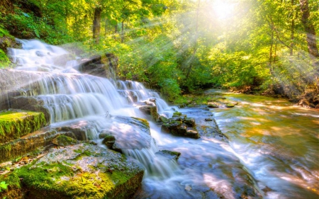 Forest Waterfalls - waterfalls, forest, nature, flowing