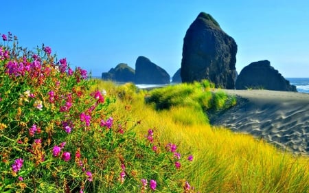 PURPLE WILD FLOWERS on the SEASHORE - purple flowers, beautiful, splendor, rock, landscape, sea, flowers, nature, waves, paradise