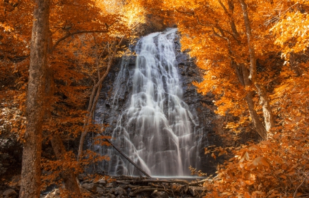 Autumn Waterfall - Autumn, trees, water, waterfall, Fall, rocks