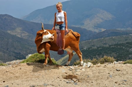 Ride 'em Cowgirl - cow, cowgirl, mountain, bull