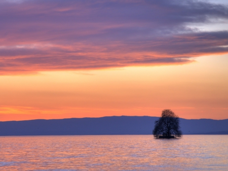 Leman Lake - lake, trees, clouds, mountains, sunset